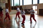 3. Modern Arnis Lehrgang Langenselbold mit Ingo Hutschenreuter (2015)