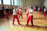 3. Modern Arnis Lehrgang Langenselbold mit Ingo Hutschenreuter (2015)